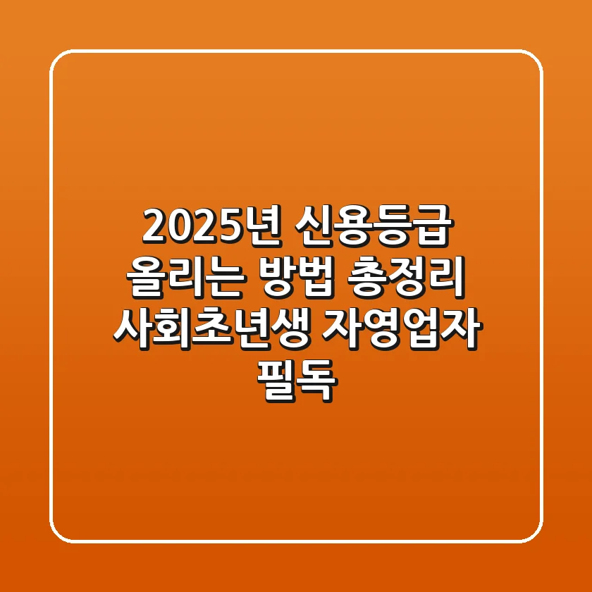 2025년 신용등급 올리는 방법 총정리 사회초년생 자영업자 필독