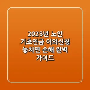 2025년 노인 기초연금 이의신청: 놓치면 손해! 완벽 가이드