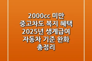 2000cc 미만 중고차도 복지 혜택? 2025년 생계급여 자동차 기준 완화 총정리
