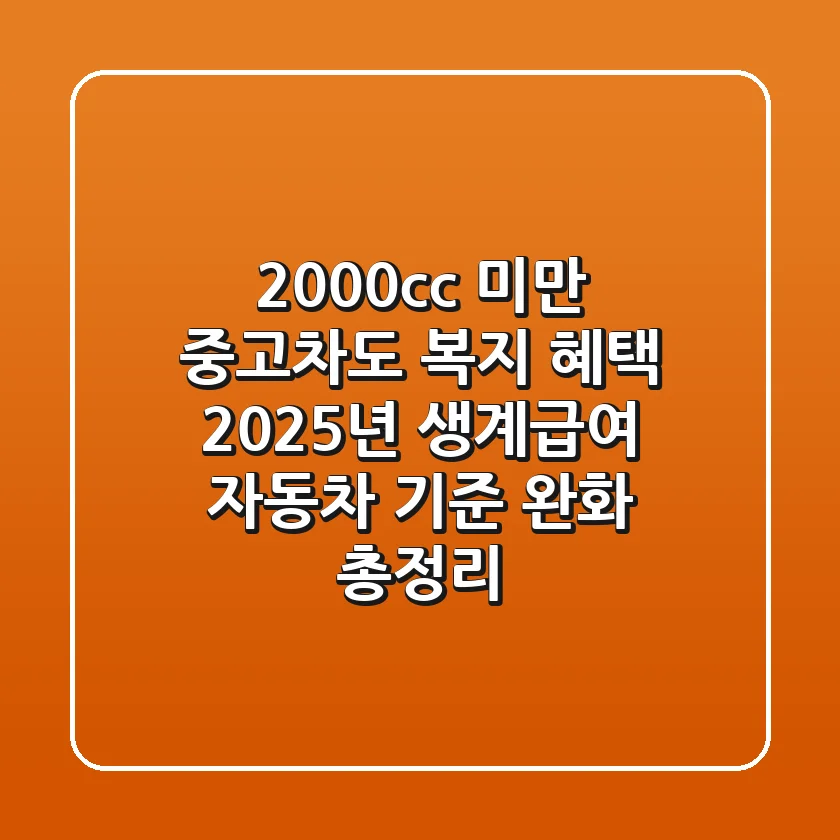 2000cc 미만 중고차도 복지 혜택? 2025년 생계급여 자동차 기준 완화 총정리