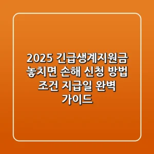 2025 긴급생계지원금: 놓치면 손해! 신청 방법, 조건, 지급일 완벽 가이드