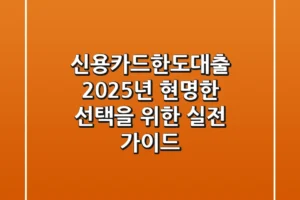 신용카드한도대출, 2025년 현명한 선택을 위한 실전 가이드