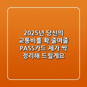 2025년 당신의 교통비를 확 줄여줄 PASS카드, 제가 싹 정리해 드릴게요!
