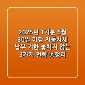 "2025년 1기분 6월 30일 마감", 자동차세 납부 기한 놓치지 않는 3가지 전략 총정리