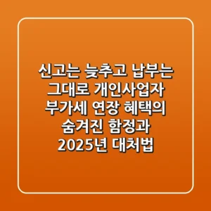 "신고는 늦추고, 납부는 그대로?": 개인사업자 부가세 연장 혜택의 숨겨진 함정과 2025년 대처법