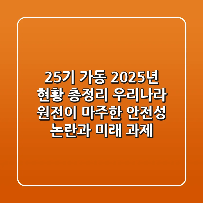 "25기 가동, 2025년 현황 총정리", 우리나라 원전이 마주한 안전성 논란과 미래 과제