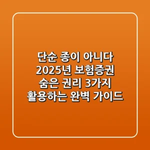 "단순 종이 아니다", 2025년 보험증권, 숨은 권리 3가지 활용하는 완벽 가이드
