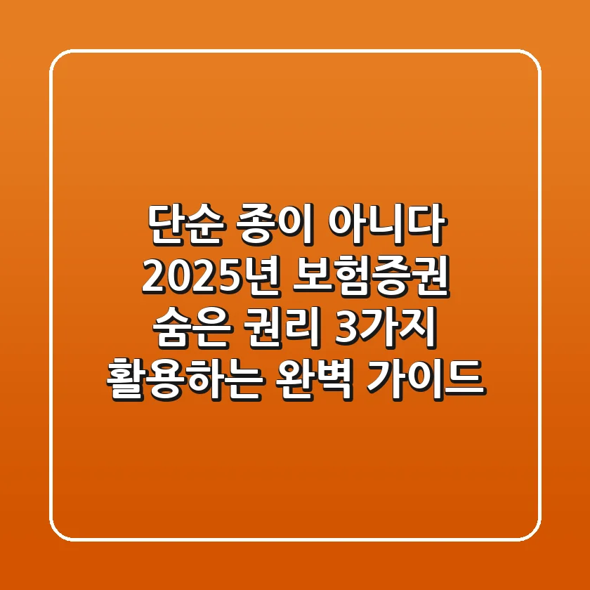 "단순 종이 아니다", 2025년 보험증권, 숨은 권리 3가지 활용하는 완벽 가이드