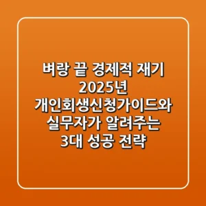 "벼랑 끝 경제적 재기, 2025년 개인회생신청가이드와 실무자가 알려주는 3대 성공 전략"