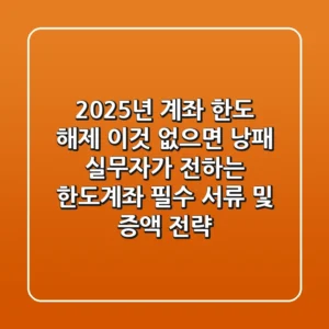 2025년 계좌 한도 해제 "이것" 없으면 낭패, 실무자가 전하는 한도계좌 필수 서류 및 증액 전략