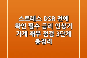 “스트레스 DSR 전에 확인 필수”, 금리 인상기 가계 재무 점검 3단계 총정리