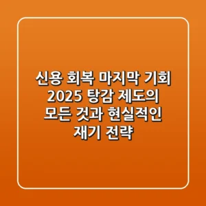 "신용 회복, 마지막 기회", 2025 탕감 제도의 모든 것과 현실적인 재기 전략